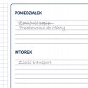 Biuwar Planer A2 podkład biurko kalendarz2023/2024