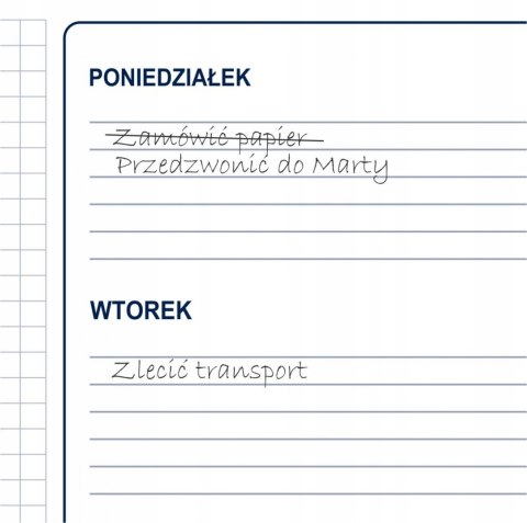 Biuwar Planer A2 podkład biurko listwa 2023/2024 Biuwar Planer A2 podkład biurko listwa 2023/2024